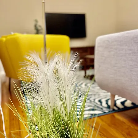 Ladomar Matriz 公寓 奥尔塔